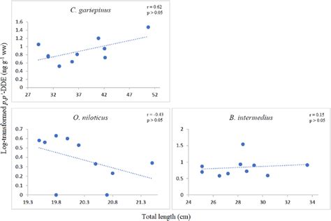 Correlation Between Log Transformed Pp Dde Ng G⁻¹ Ww And Total