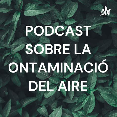 PODCAST SOBRE LA CONTAMINACIÓN DEL AIRE Fernando Alonso Martínez