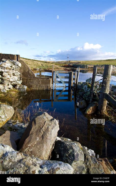 Half Submerged By Blue Sea Hi Res Stock Photography And Images Alamy