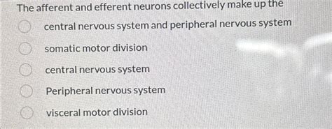 Solved The afferent and efferent neurons collectively make | Chegg.com