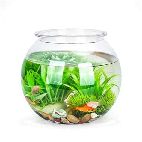 Le Meilleur Aquarium Rond Classement Guide Dachat