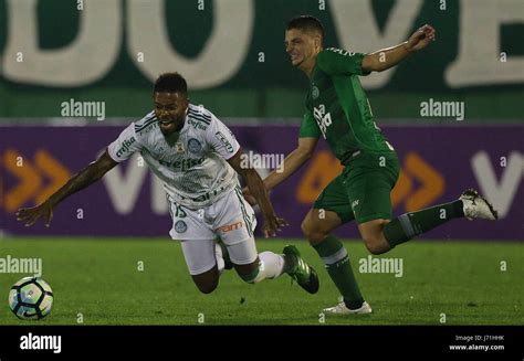 CHAPEC SC 20 05 2017 CHAPECOENSE X PALMEIRAS The Player Michel