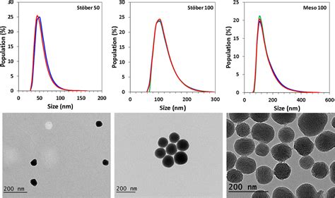 Sex Specific Silica Nanoparticle Protein Corona Compositions Exposed To