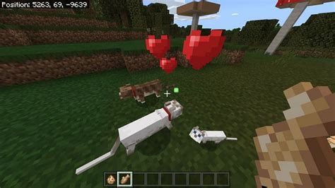 How To Get Cats In Minecraft Breeding Taming And More