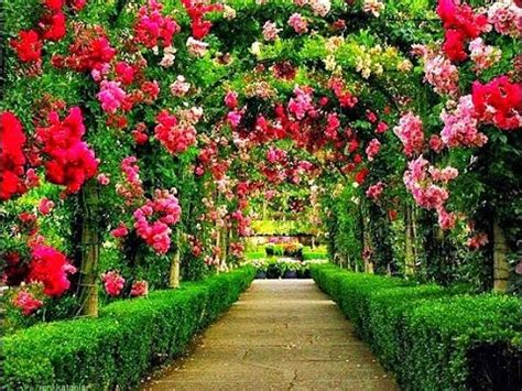 Beautiful Flower Gardens Of The World