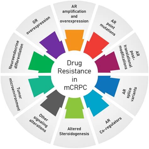 Drug Resistance In Metastatic Castration Resistant Prostate Cancer An Update On The Status Quo