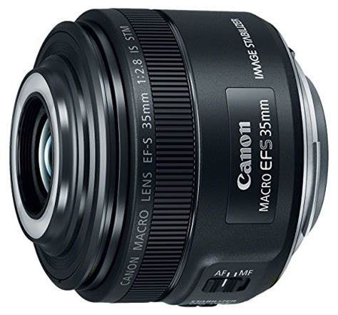 Best Lenses for Canon 200D [Zoom, Macro, Wide-Angle and More]