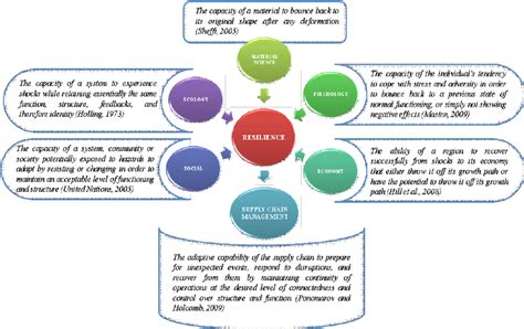 Definitions Of Resilience In Different Areas Download Scientific Diagram