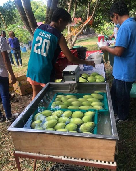 Guimaras Mango Festival Dinamulag Festival Traveltrained