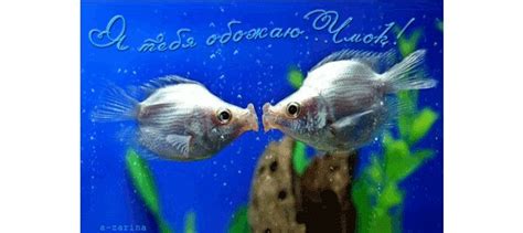 Открытка Я тебя обожаю... Чмок!