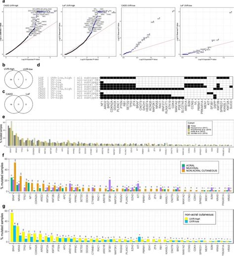 Multi Omic Analysis Reveals Significantly Mutated Genes And Ddx3x As A