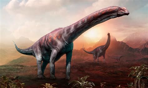 Argentinosaurus Vs Blue Whale Comparing The Size Of Two Giants A Z