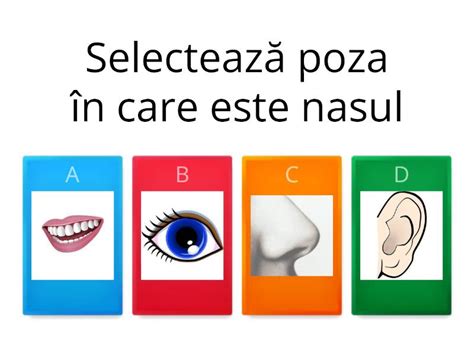 Organe De Simt Quiz