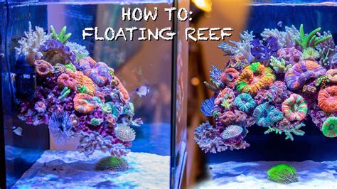 Reef Aquascapes Floating Reef Tank How To Setup Nano Aquarium