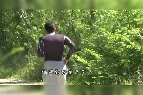 男子假扮成“狗熊”出现在街头，这“狗熊”也太真实了 狗熊 男子