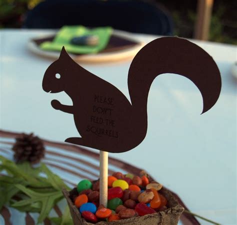 Squirrel party pick | Party picks, Squirrel, Birthday parties