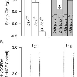 A Caspase Inhibitor Suppressed Elevation Of Cellular Ros Rs After Ngf