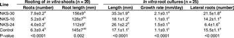 Root Growth Of Transgenic Banana Plants Over Expressing A Banana