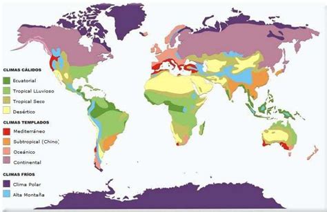 Climas Del Mundo Tipos Y Mapa Distribución De Zonas Climáticas