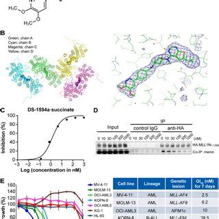 The Menin Mll Inhibitor Induced Differentiation And Loss Of