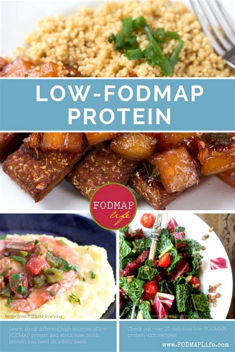 Low Fodmap Diet Protein List Fodmap Recipes Low