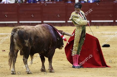 Spanish Bullfighter Jose Tomas Fights His Editorial Stock Photo Stock