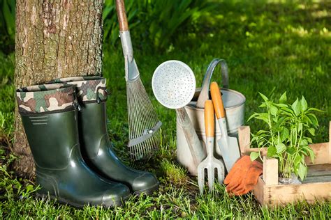 Quais São As Principais Ferramentas Para Jardinagem 5 Instrumentos