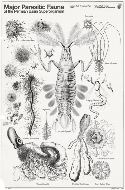 Mystery Flesh Pit National Park — This chart, and many others like it, were produced...