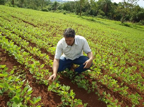 Harvest Minerals On Twitter Brazils Farmers Have Been Caught Off