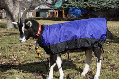 Goat Coat, Waterproof Cover to Protect Goats from Wind, Rain, and Cold