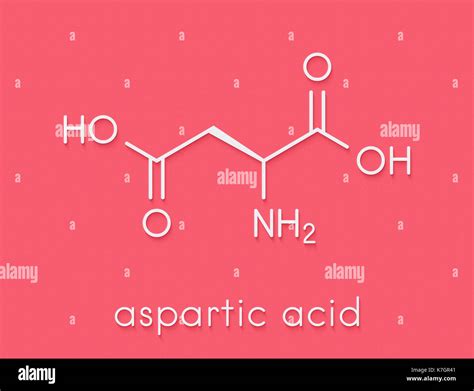 Aspartic Acid L Aspartic Acid Asp D Amino Acid Molecule Skeletal