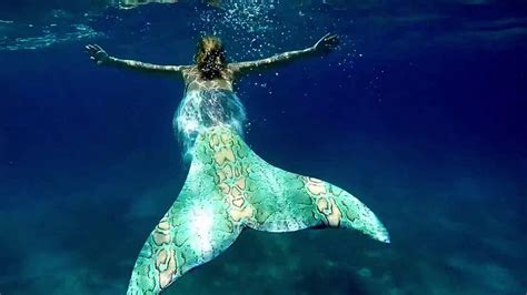 Mako Mermaids H O Just Add Water The Tails Swimmable Mermaid Hd