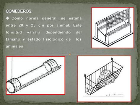 Instalaciones Para Caprinos Y Ovinos Ppt