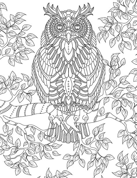 Bird Coloring Page Etsy