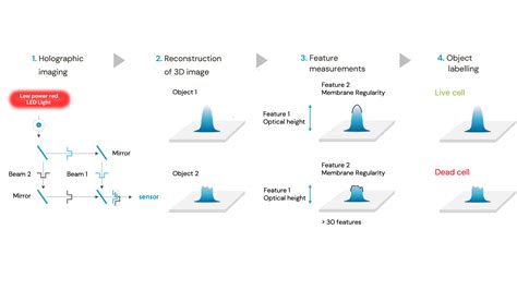 Holographic_imaging_infographic - Ovizio