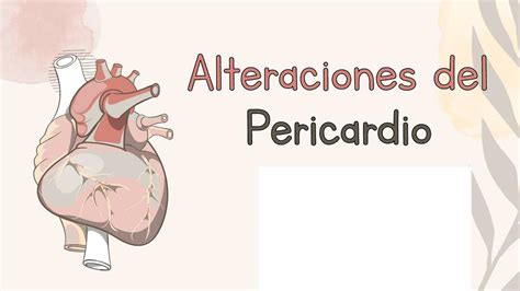 Alteraciones Del Pericardio Espm Medicina Udocz