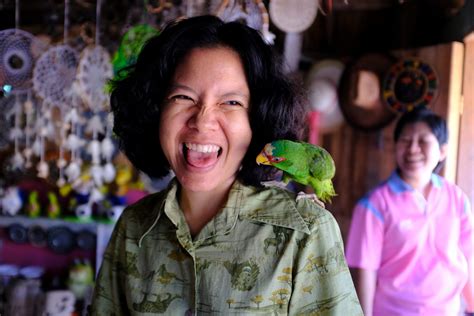 Do Parrots Laugh? (Answered!) - Parrot Website