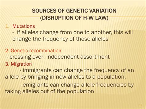 Population Genetics Population Genetics Ppt Download