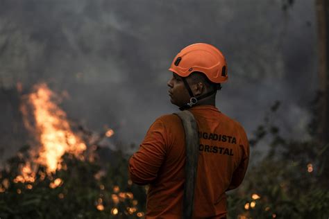 Visão Brasil redobra esforços de combate aos incêndios na Amazónia em