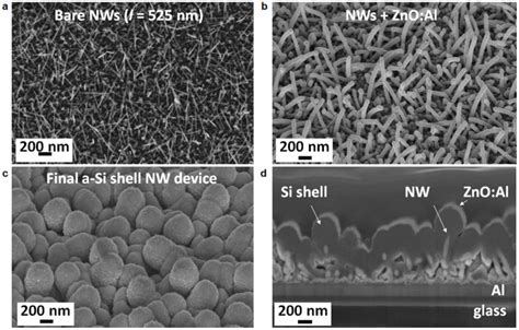 A SEM Image 45 Tilt Of An Array Of Bare Si Nanowires With An