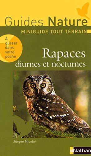 Rapaces Diurnes Et Nocturnes By Paul Henry Collectif Goodreads