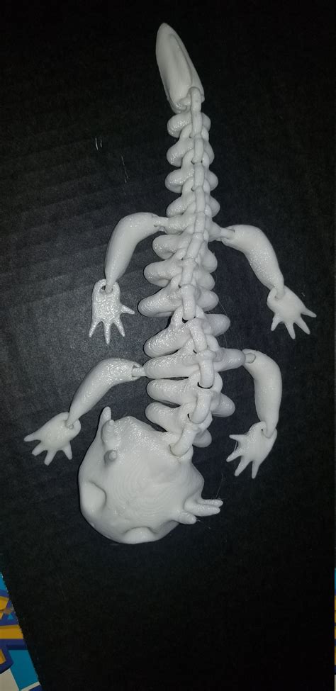 Articulated Skeleton Axolotl Long Fidget Toy Etsy