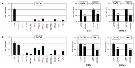 Transcriptional Regulation Of Irx1 Expression Analysis Of A Gata1