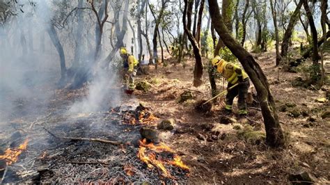 Incendio En Tenerife El Incendio De Tenerife Que Sigue Sin Estar