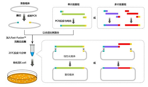 Fast Fusion Igenebio