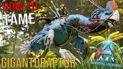 Gigantoraptor Easy Quick Taming Guide Ark Survival Ascended Youtube