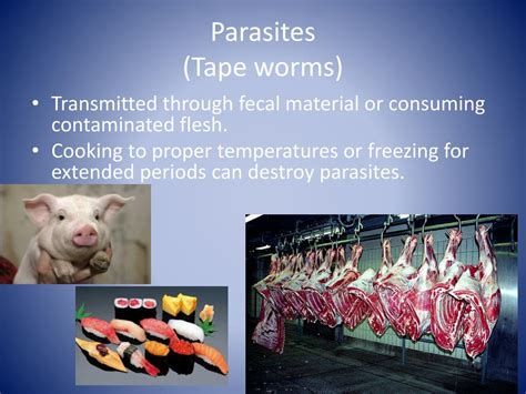 PPT - Food Industry Hazards PowerPoint Presentation, free download - ID ...