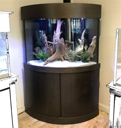 Corner Bow Front Aquarium Atelier Yuwa Ciao Jp