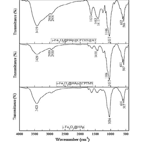 Ftir Spectra Of γ Fe 2 O 3 Hap γ Fe 2 O 3 Hap Cptms And γ Fe 2 O 3 Download Scientific