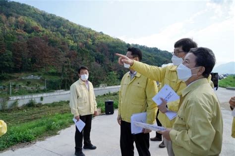 남성현 산림청장 밀양시 소나무재선충병 피해지 현장 점검 네이트 뉴스